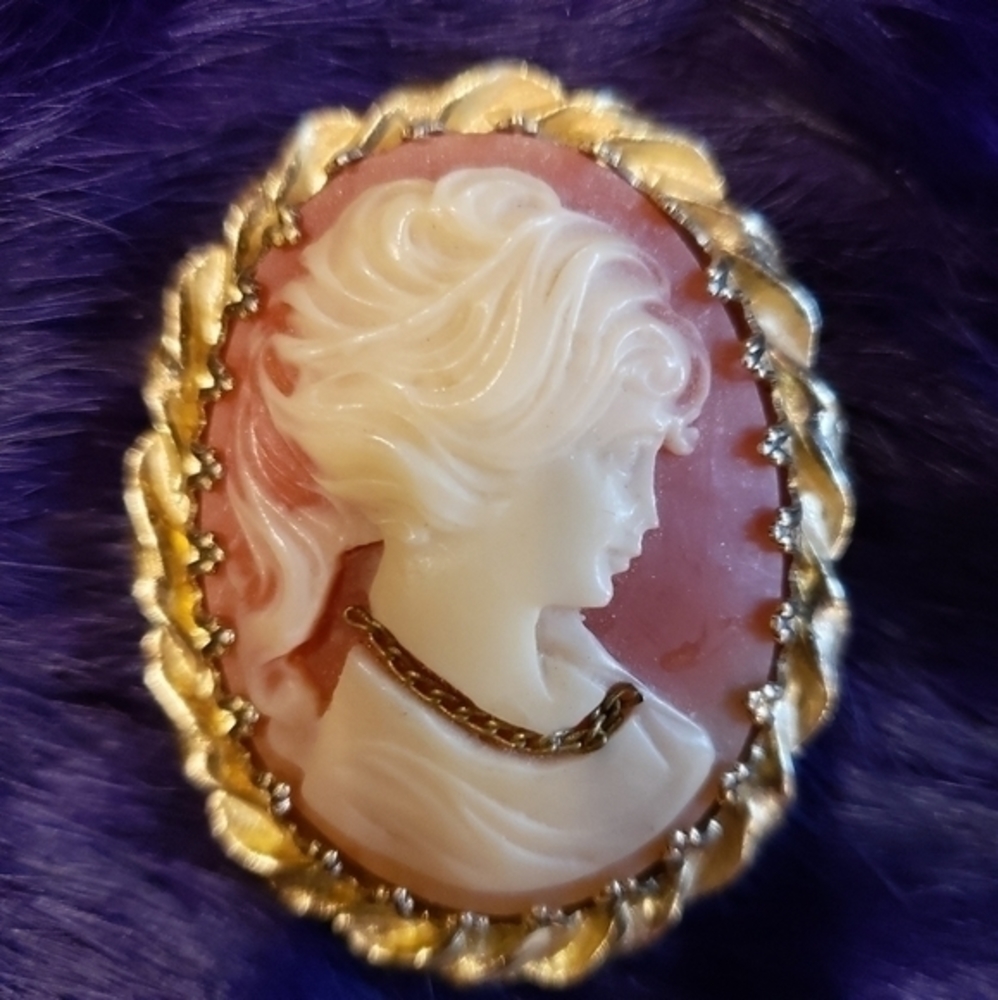 MARKED JAPAN SHELL/CELLULOID  CAMEO‎ BROOCH RARE CAMEO BROOCH Gorgeous Rare